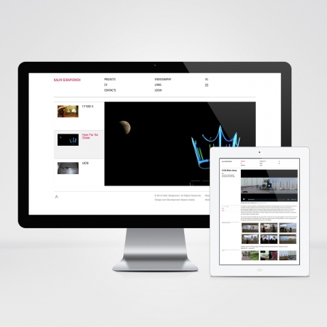 скрийншот Ян. 2011, изглед: единичен проект